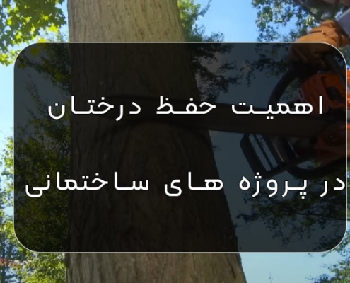 حفظ درختان در ساختمان